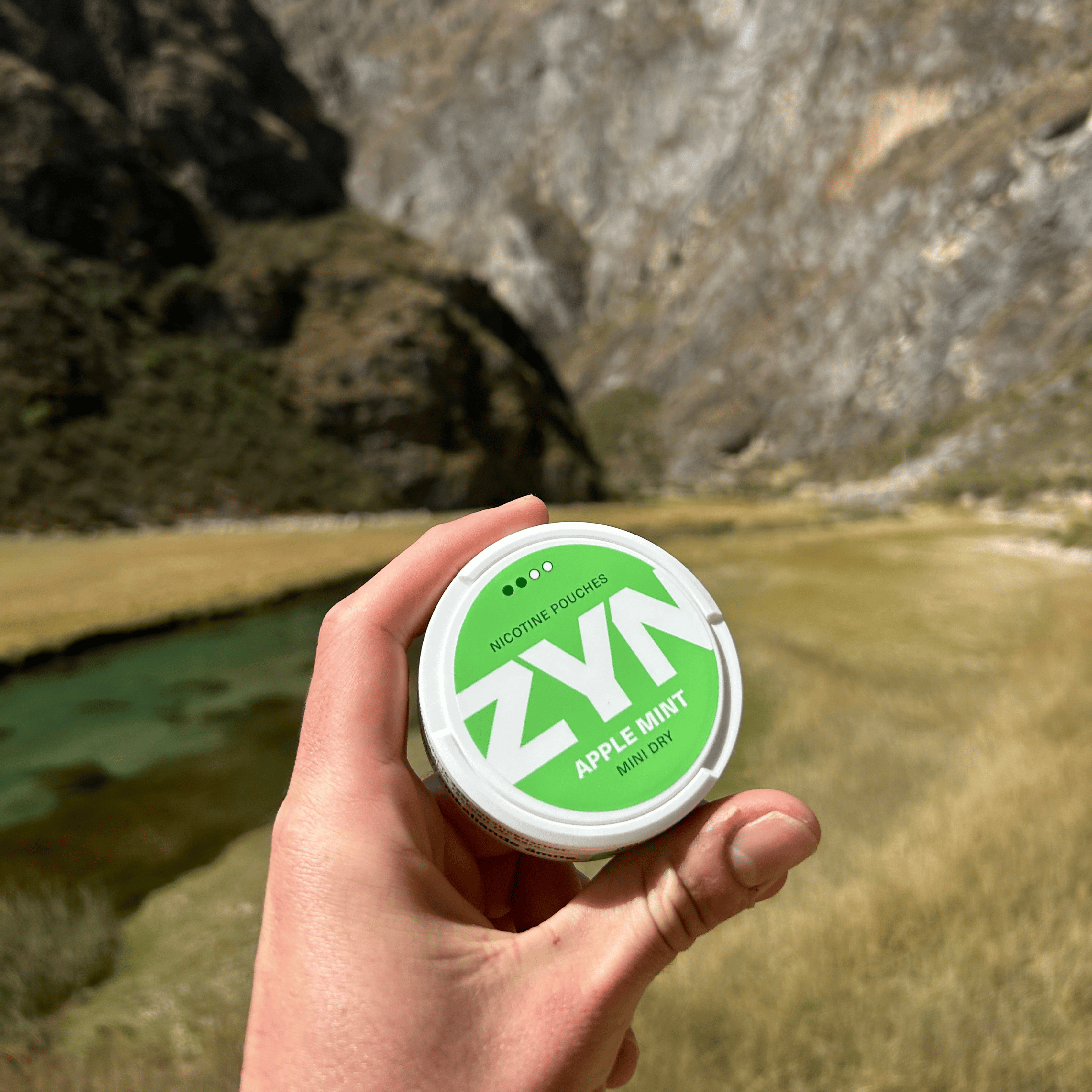 Imagen de producto ZYN #7 - Bolsitas de nicotina sin tabaco